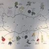 Ne ararsan Anadolu’da var – Cumartesi Sabah Haberleri