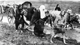Bulgaristan Vatandaşlığı İçin Kritik Tarih: 18 Kasım 1950